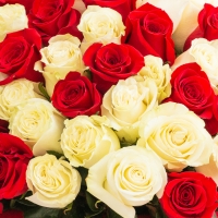 Buchet 101 trandafiri rosii si albi 4